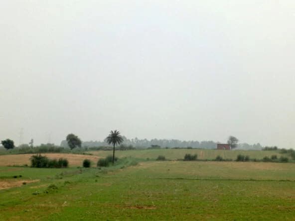 ONE Farms — gallery image 2