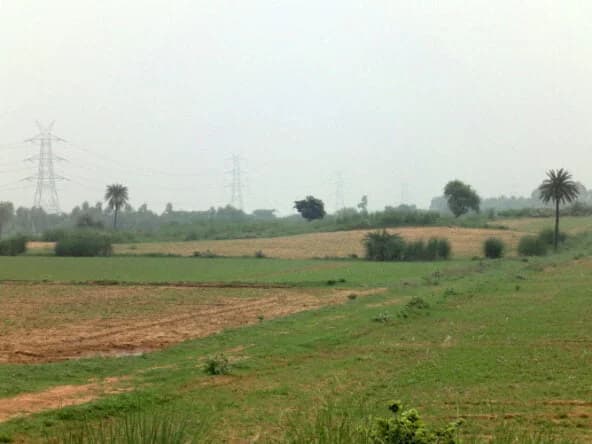 ONE Farms — gallery image 3